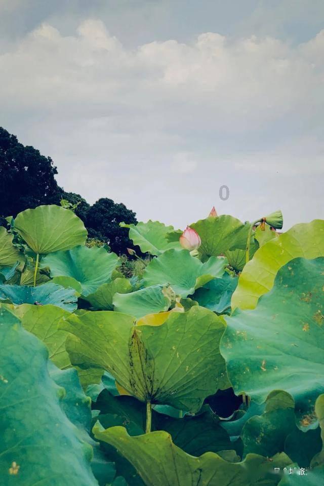 分手后的两个人,真有必要复合吗-专业高效的问答平台