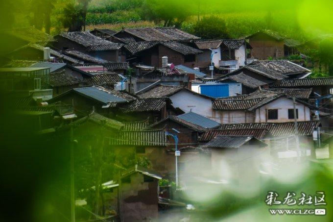 公主的时尚风
