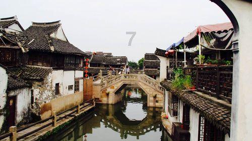 逗小猴开心系列197